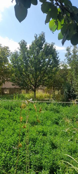 Очень срочно Продается коттедж в янги хаёт