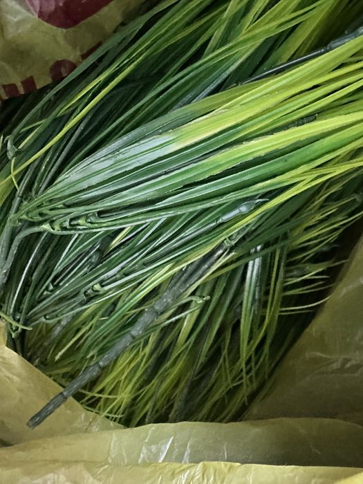 Искуственная трава в кашпо