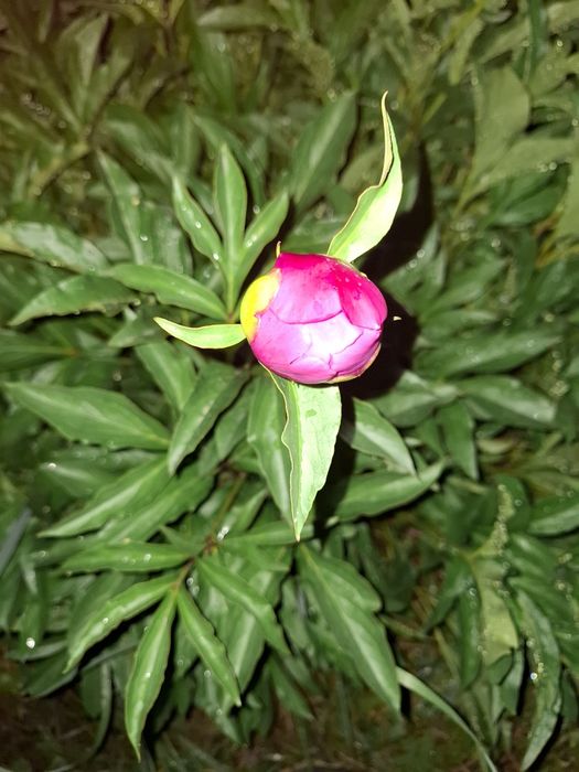 Продам дачу ПК Иссык