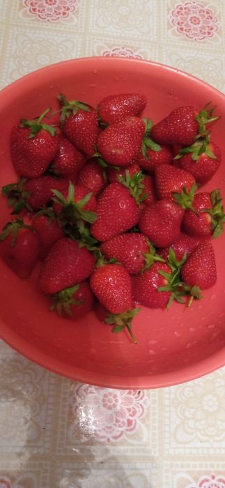 Клубника в шоколаде!