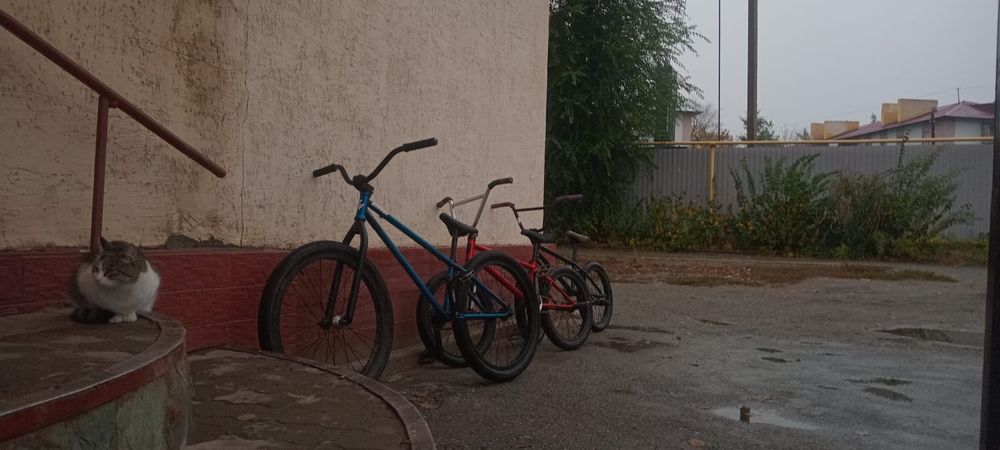 Обменяю руль дивижен хром