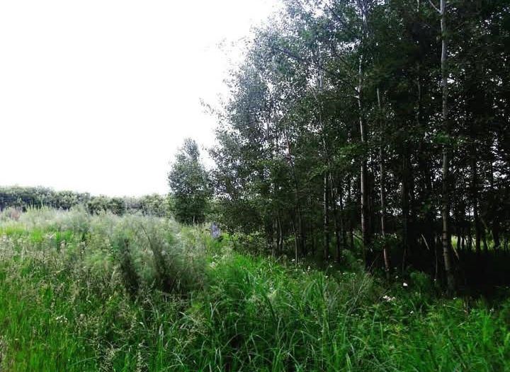 Ферма, Фазенда, Откорм площадка