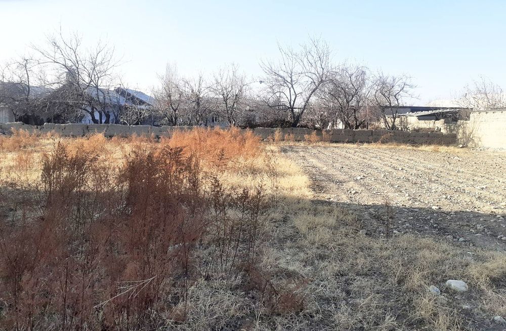 6 sotixdan iborat uchastka sotiladi