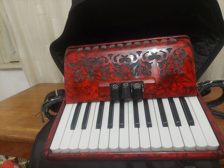 Акордеон Irin Ирин 48 баси