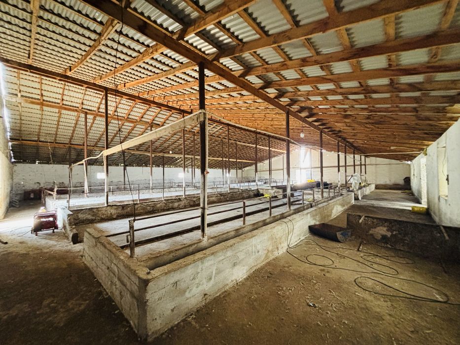 Ferma  ijaraga  joy sharoitlari bor