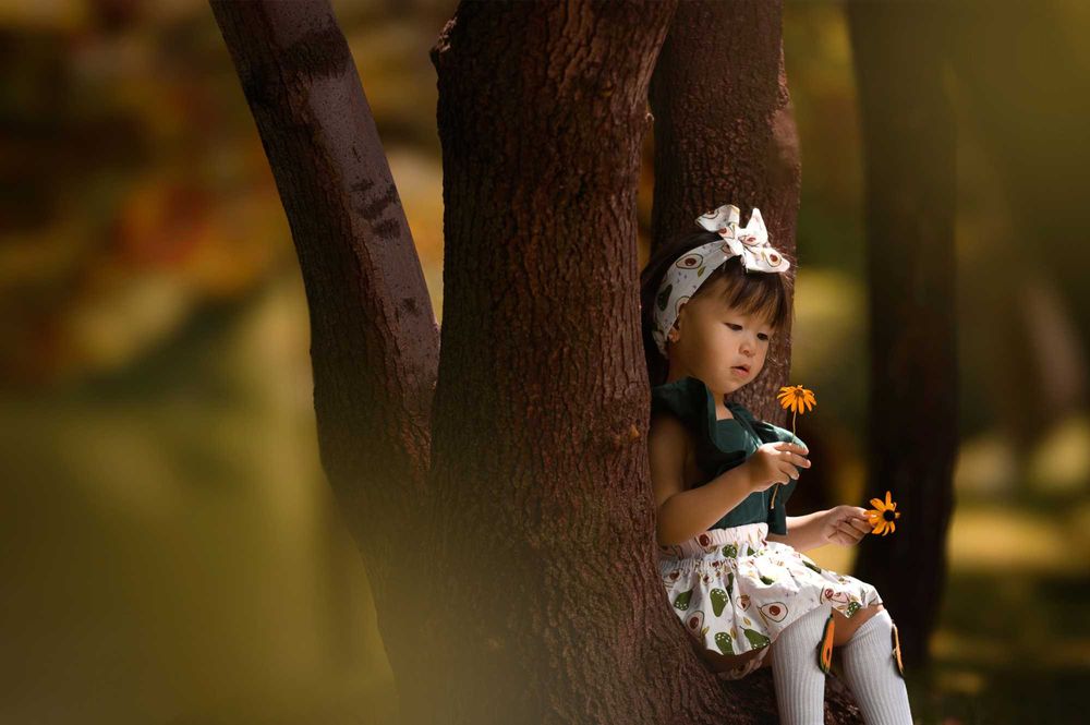 Nikon 70-200mm f/2.8 FL