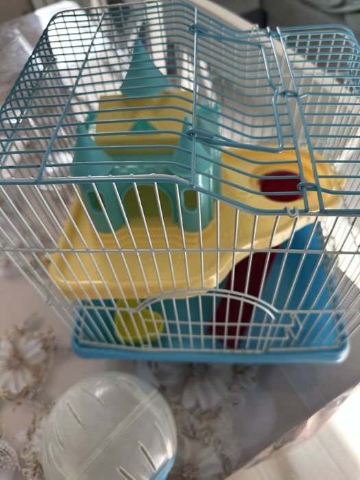 Клетка хомячка, шар хомячка