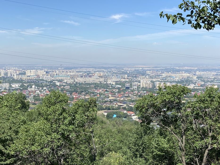 Участок на ремизовке