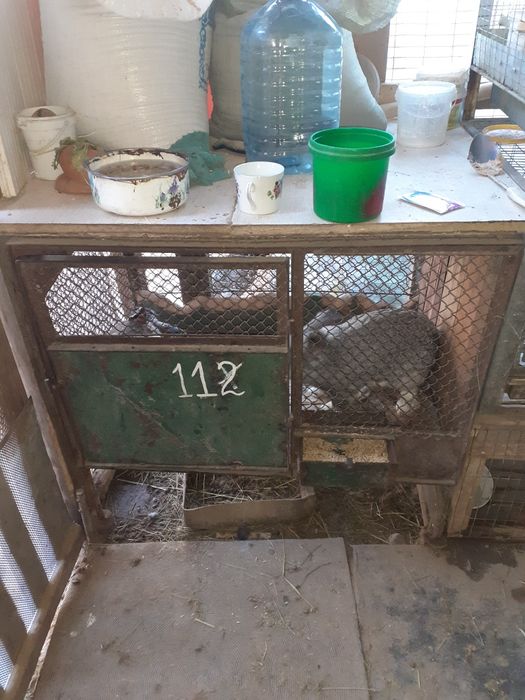 Продам клетки для кроликов