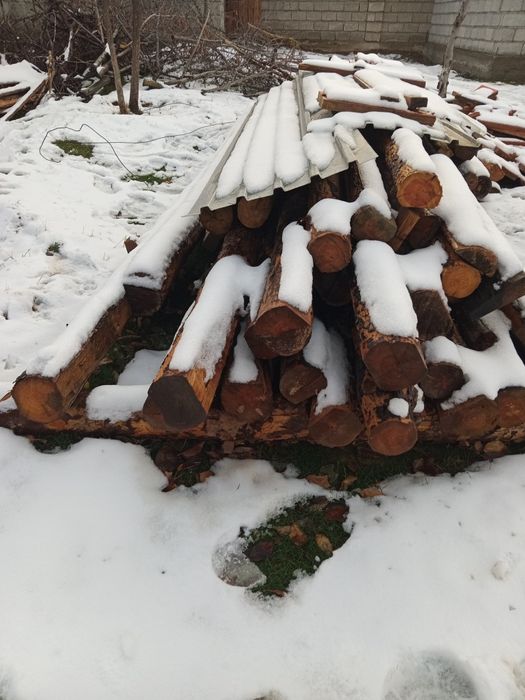 Кругляк ағаштар сатылады.