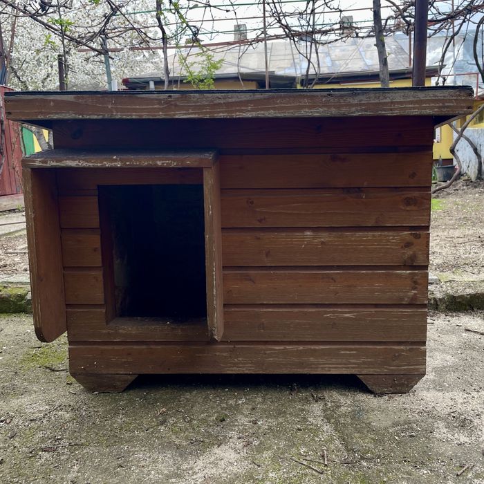 Cotet lemn caine talie medie