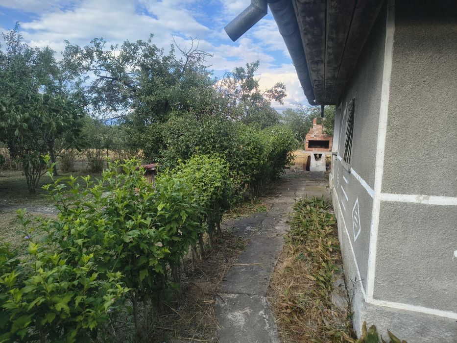 Teren  la deal cu cabana,vie și livada