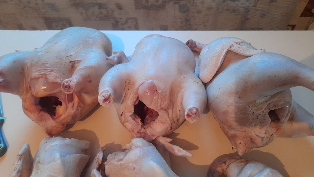 Куры бройлеры домашние свежие