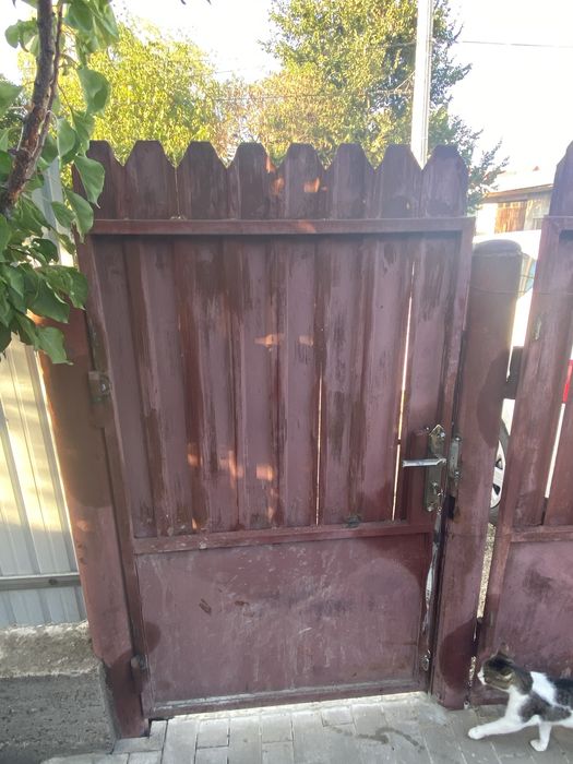 Poarta pietonala si porti auto cu ridicate personala