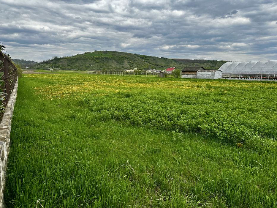 Teren Oituz 4000mp DN11 Stradal