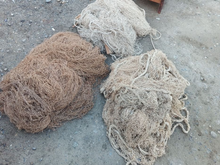 Балик тур сотилади