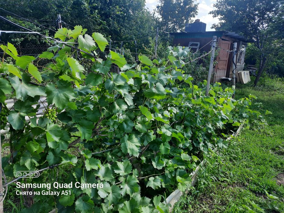 Продам дачу на 2й дачной поворот