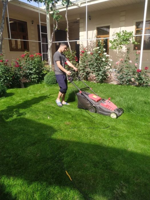 Gazon va archalar bor