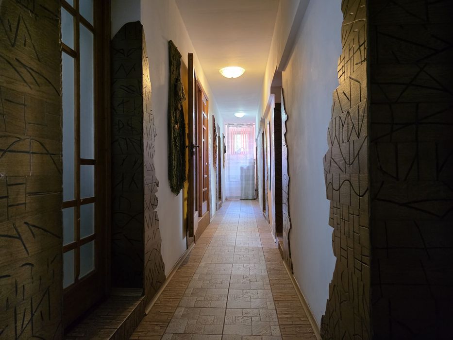 Camere vilă Copou direct proprietar fără comision agenție