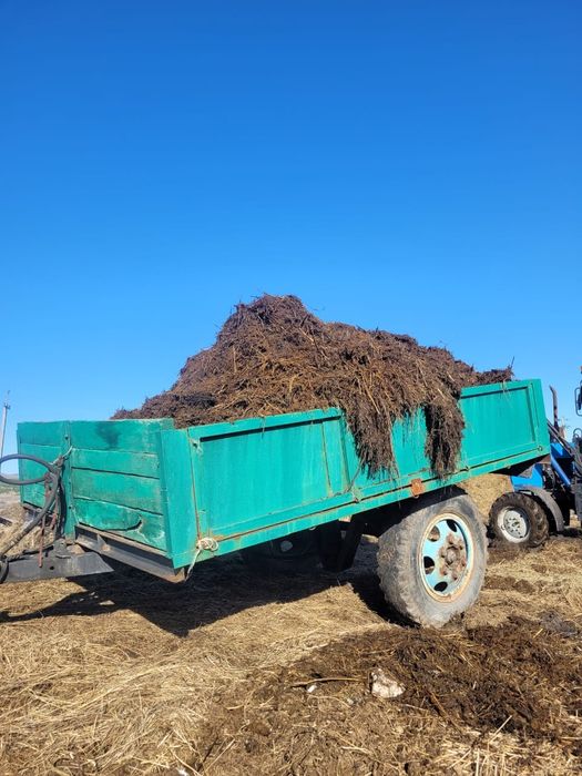 Продам Навоз сочный