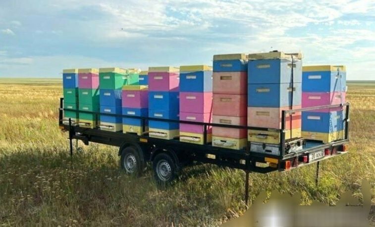 Прицеп для легкового аато