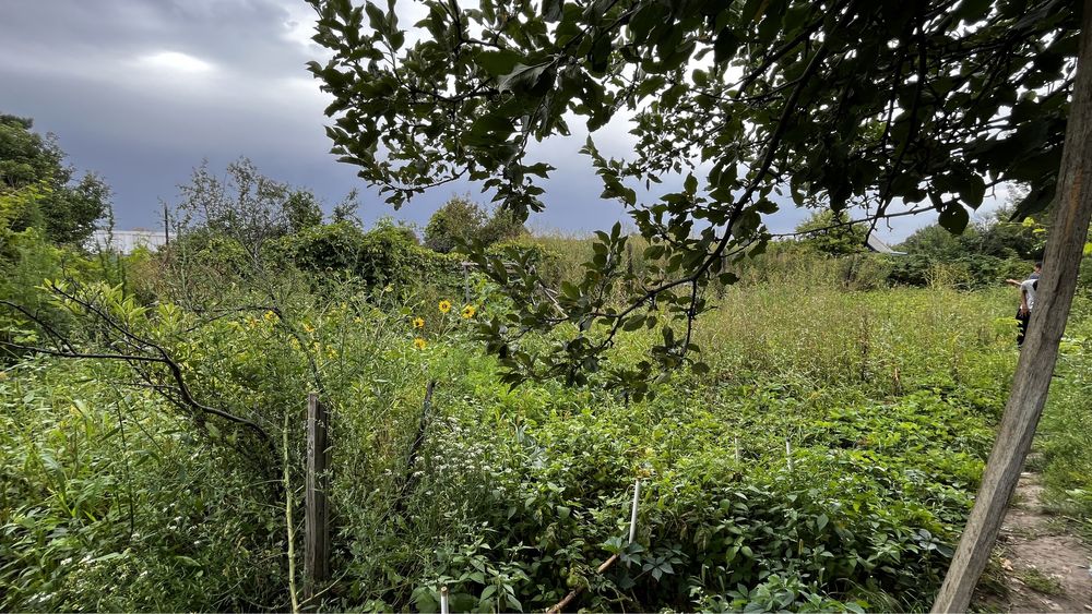 Дача Ақтөбе,Актобе