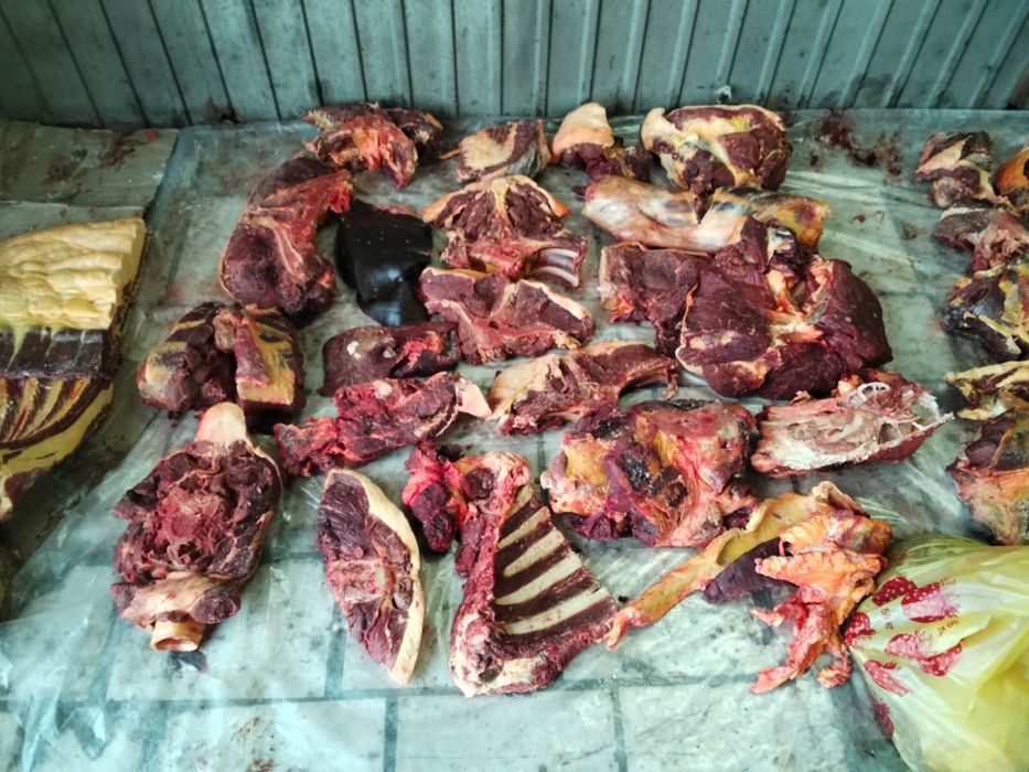 Мясо конины частями !