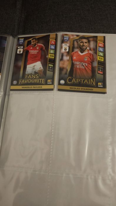 2 cartonase rare panini