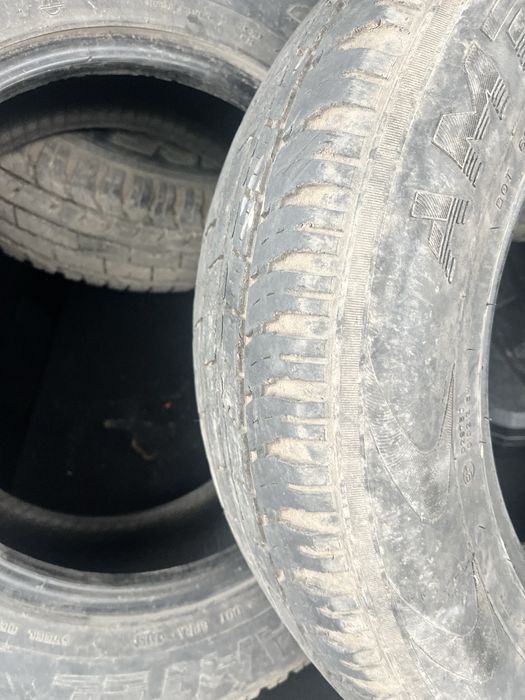 Шины сезон летный /16