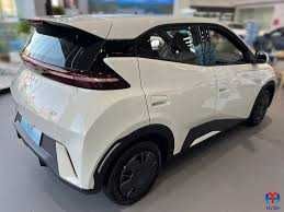 BYD Seagul   nasiya savdo