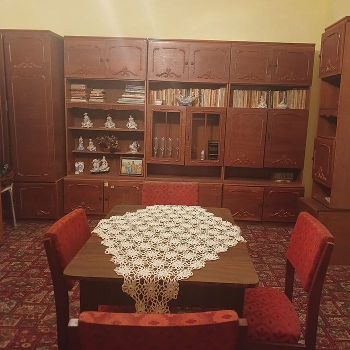 Casă de vânzare curte cu vie.