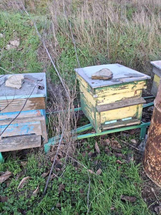 Кошери за пчелин, вече не се използват, затова ги продавам