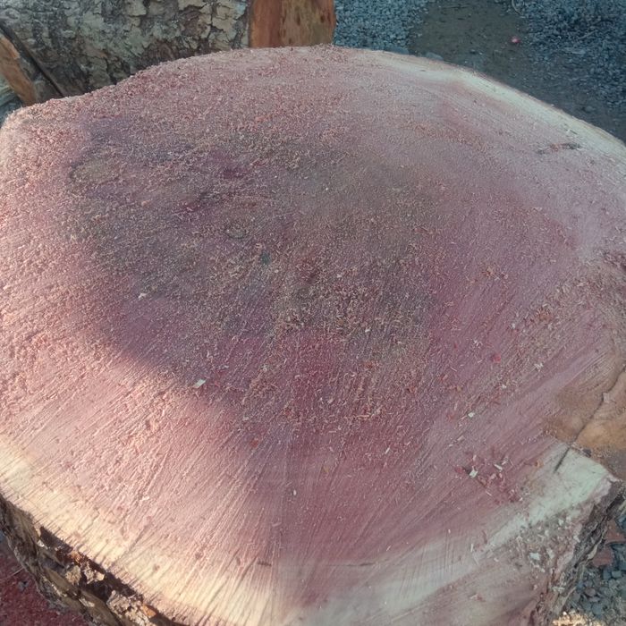 Goshtonkala sotladi 250$ dan