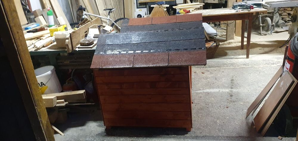 Cotete .Cusca caini,