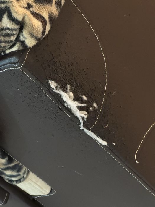 Продается большой Диван, б/у