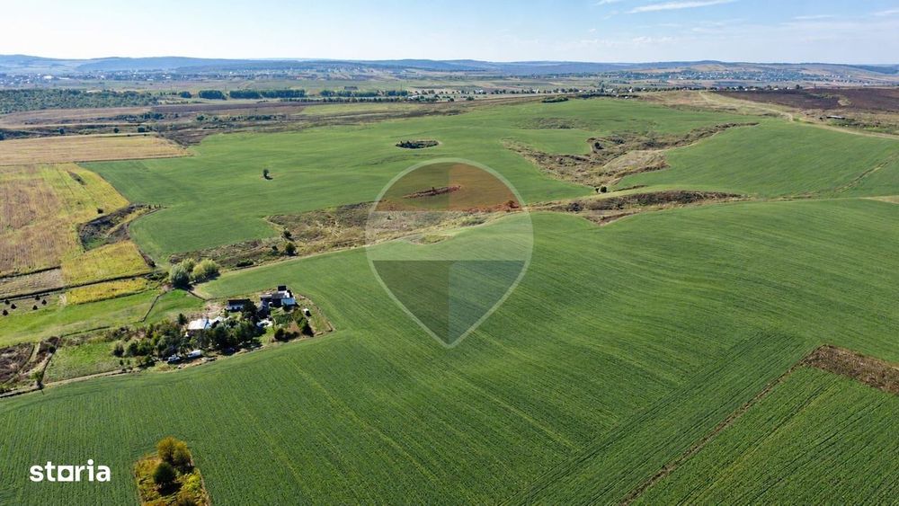 Teren De 10.18 Hectare, Compact, Buzeni/Bt,