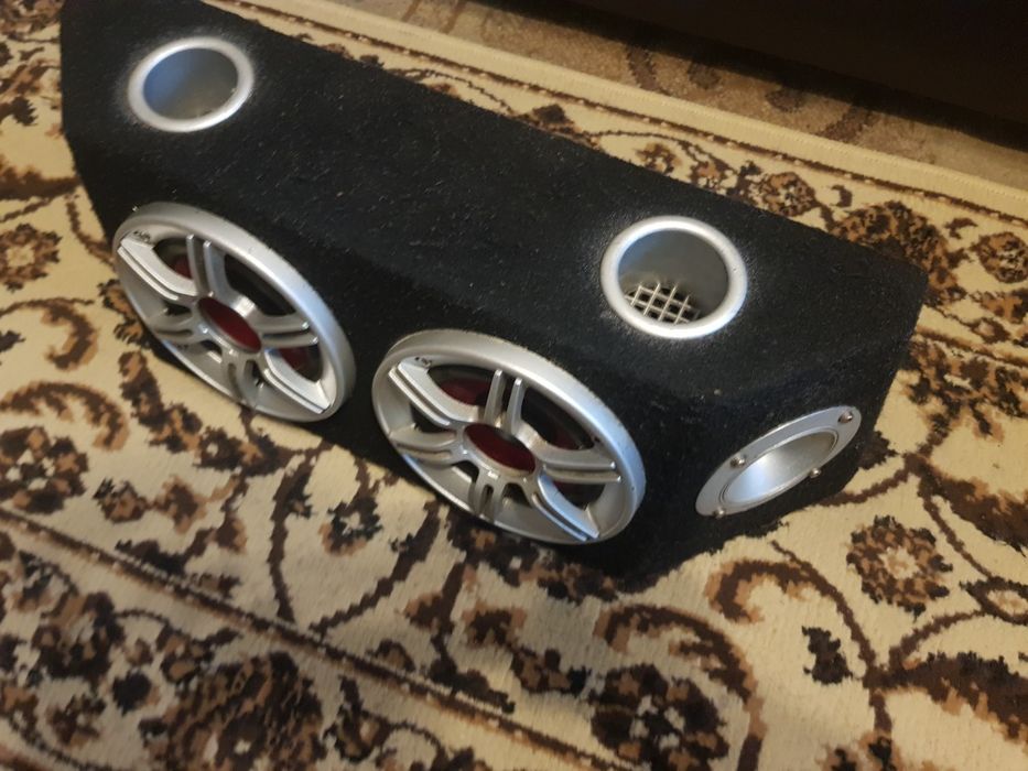 Subwoofer auto dual