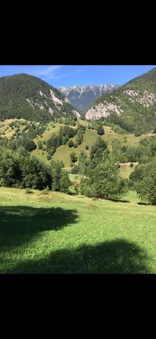 De vanzare 1000mp sat Pestera , comuna Moieciu