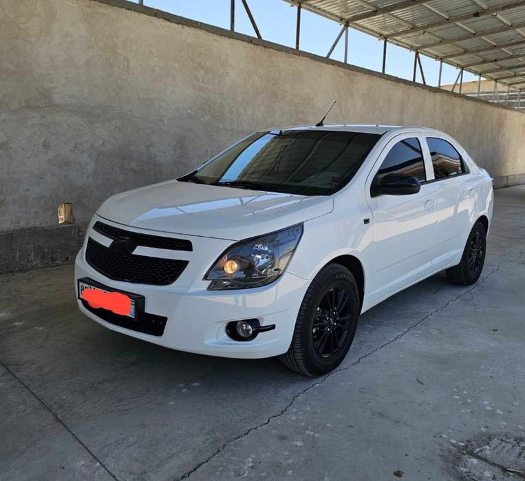 Kobalt midnight 2025   kraska probek radnoy. Cobalt