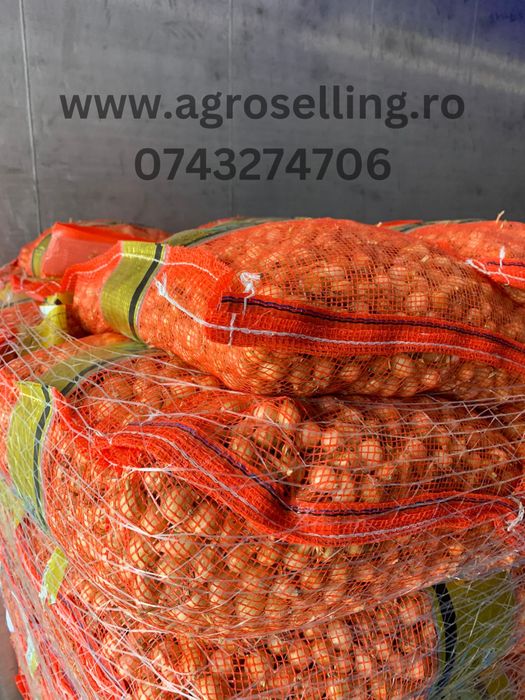 Vand arpagic diferite soiuri Stuttgarter, Sturon, Red Karmen