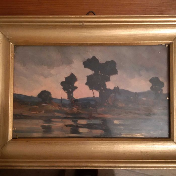 Peisaj de tara - Nicolae Meicu Semnat Dimensiuni 25/15cm cu Rama