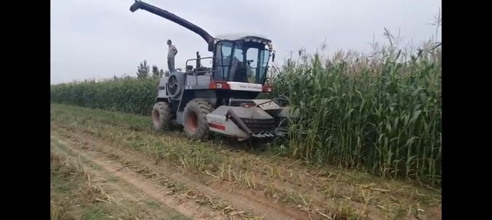 Дон комбайн сотилади. Соз холатда, ўриб кўрсатиб берамиз.