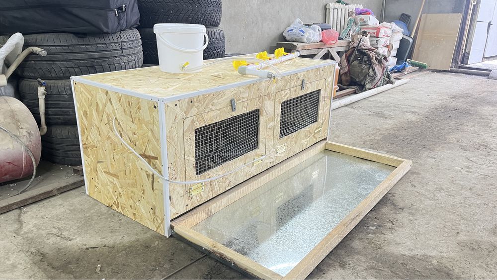 Брудер на цепленка