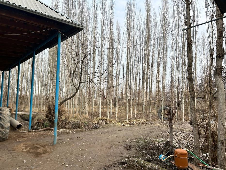 Uy sotiladi Tezdaaaa. Kelishtiramiz!