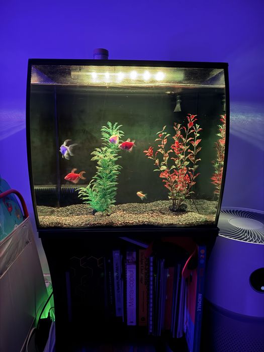 Acvariu 60L Fluval