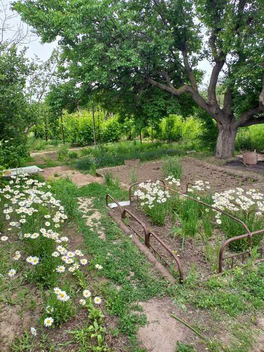 Продаётся дачный участок