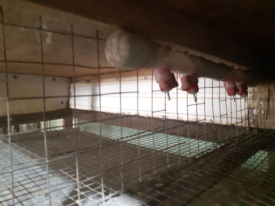 Клетки для перепелок