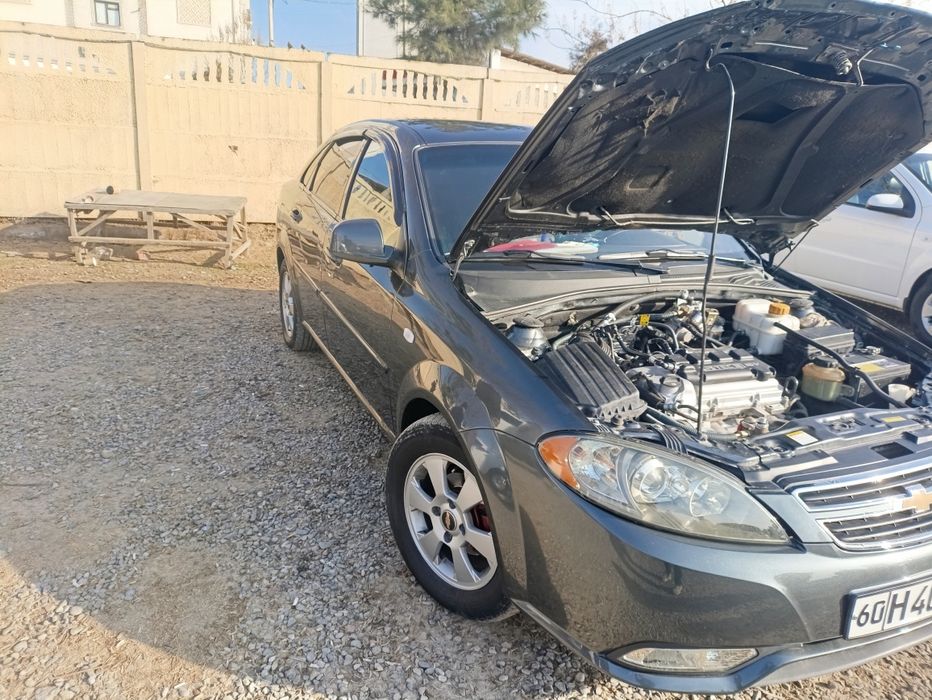 Жентира 2019 мокрий