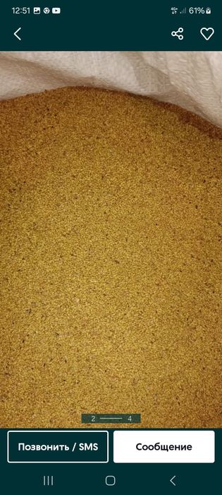 Жонышка урык Жоңышқа ұрық