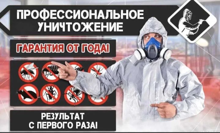 Dezinfeksiya| Dezinseksiya| Deratizatsiya